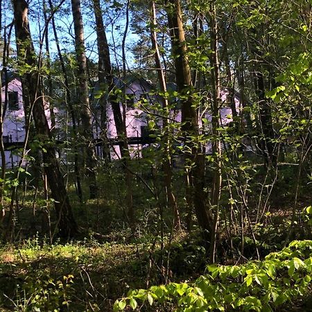 Lawendowe Domki Międzywodzie Exteriör bild