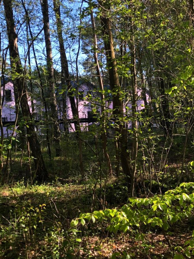 Lawendowe Domki Międzywodzie Exteriör bild